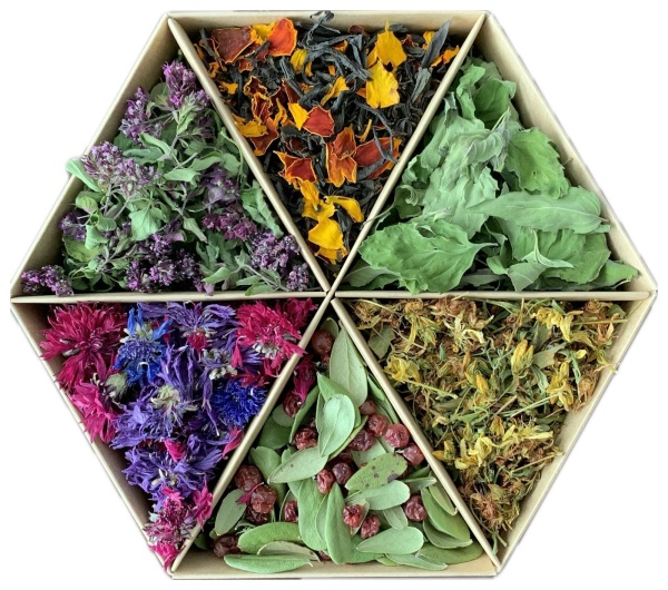 Фото Набор травяного чая Сибирский иммунитет SIBIRTEA от магазина FedyaDich.ru