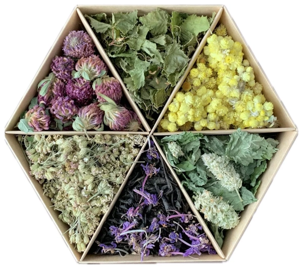 Фото Набор травяного чая Восстанавливающий, SIBIRTEA от магазина FedyaDich.ru